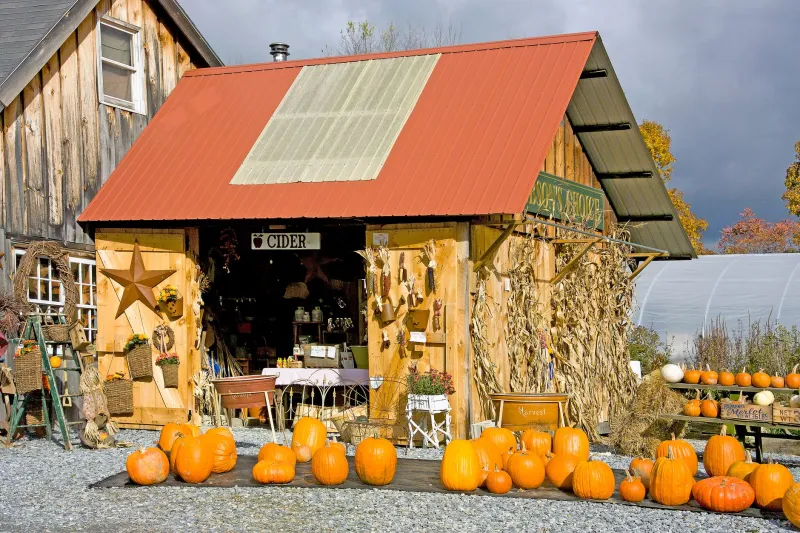 Harvest Season Is the Real Food Festival: 7 American Regions Eating Better Than the Big Cities Right Now