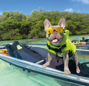 TOUR MANGLARES - ACUARIO